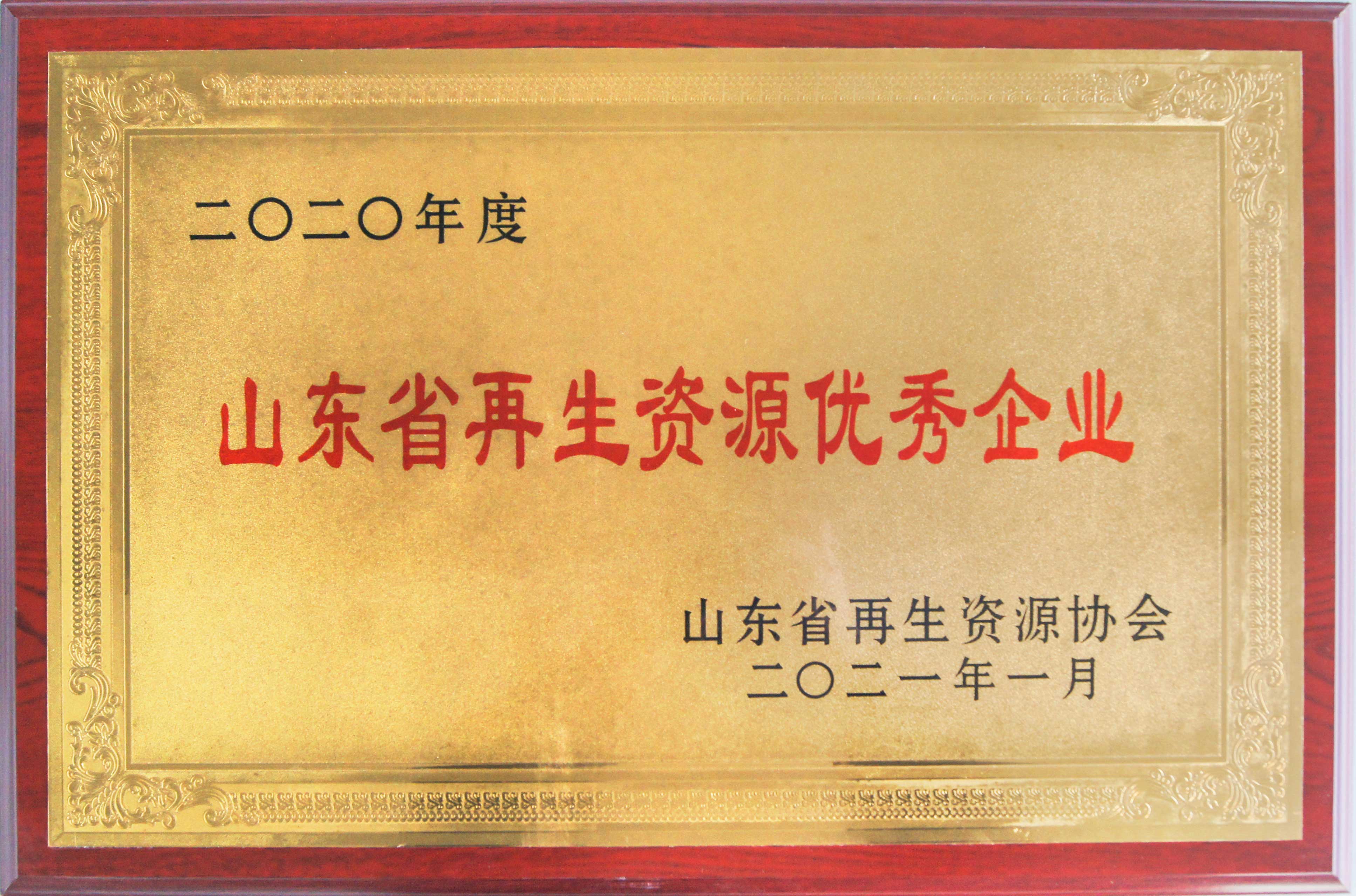 山东省再生资源优秀企业2020